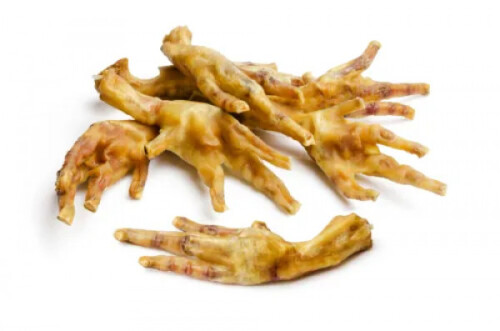 cache-image-chicken-feet-3160e50d0d649831b4a44961579ea4f52a943fb9-500x331-0546875-webp-medium.jpg