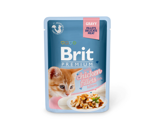 gravy-kitten.png
