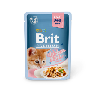 gravy-kitten
