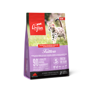 orijen-kitten