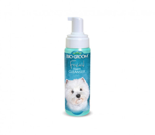 facial-foam-cleanser-medium.jpg