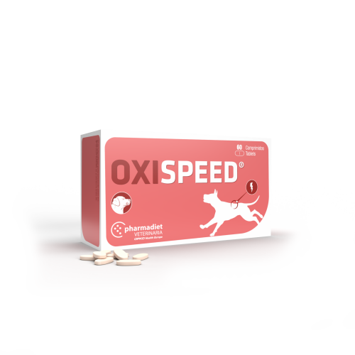 oxispeed-n60-777184-2271-2048x2048.png