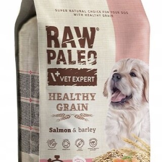 RAW-PALEO-Healthy-Grain-Salmon-and-Barley-Puppy-2kg