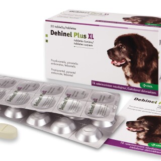 1612861089_dehinel_plus