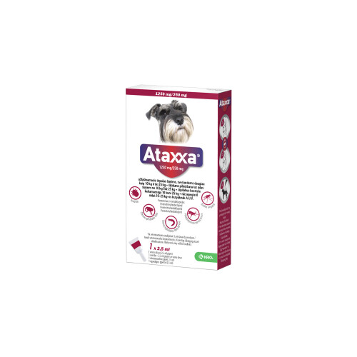 223002-2022-ATAXXA-1250-250mg-EE-HU-LT-LV-RGB-jpg.jpg