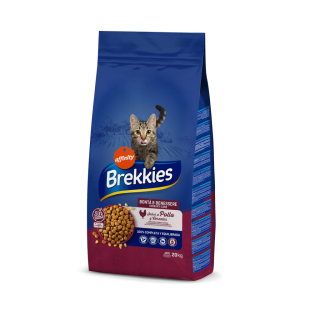 BC298611_1_1024x1024