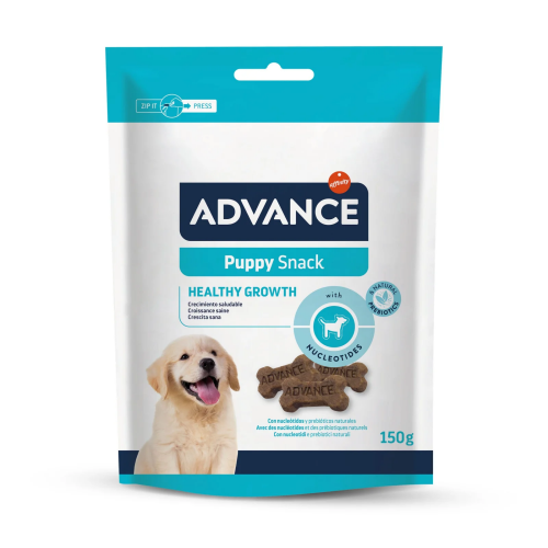 puppy-1-scaled-1.png
