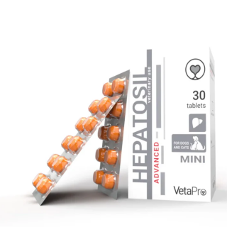 Hepatosil-mini_784x700