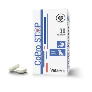 SMALLER-KIBBLE-SIZE-5