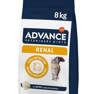 71mkXVQEKKL._UF10001000_QL80_