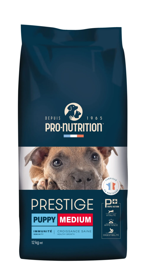 prestige-puppy-medium-scaled.png