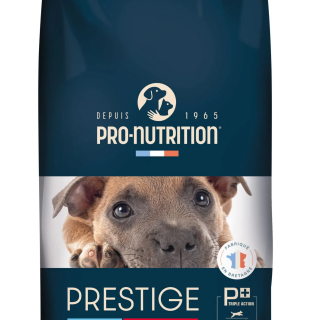 prestige-puppy-medium-scaled