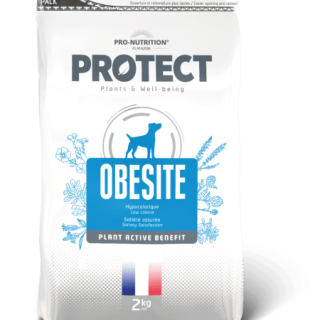 3269878830202-450x524