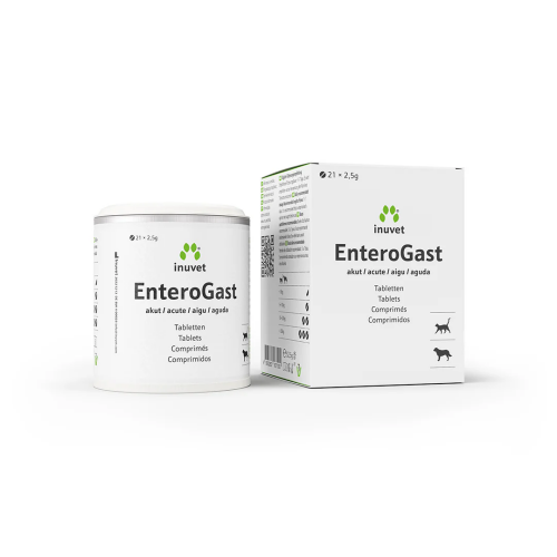 EnteroGast_21x2_5g_Tabletten_1080px_1-1.png