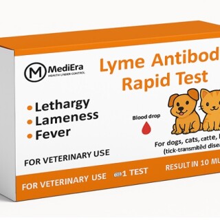 fb4cba50-3607-11f0-96cc-4ba6aca37190