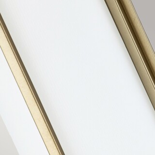 fe-fusion2-pnbr_detail3