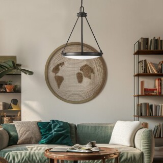 hk-collier-p-bx_insitu1