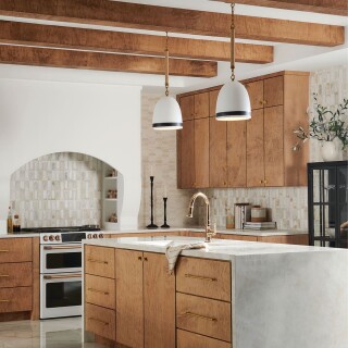 hk-nash-p-hb_insitu1