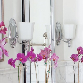 hk-shelly1-bath_insitu2