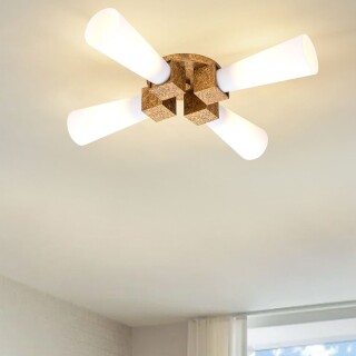 kristy-4p-dg-opal_insitu1