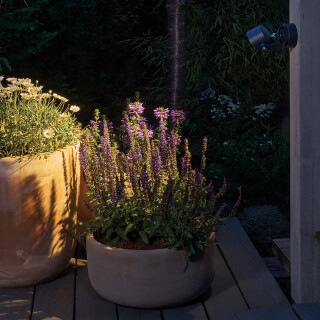 moss-wall-gr_insitu1