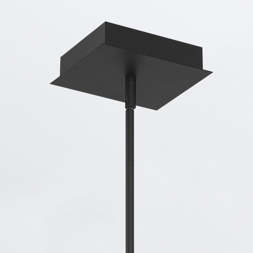 qn-cameno-lp-bk_detail3.jpg
