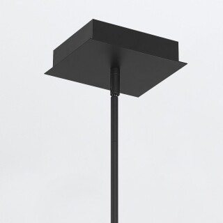 qn-cameno-lp-bk_detail3