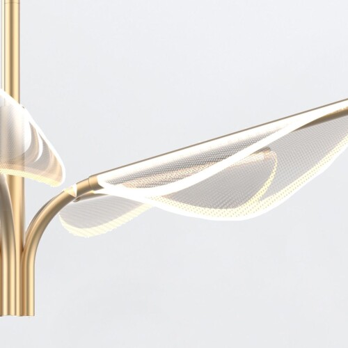 qn-floriana-p-s-nbr_detail1_1.jpg