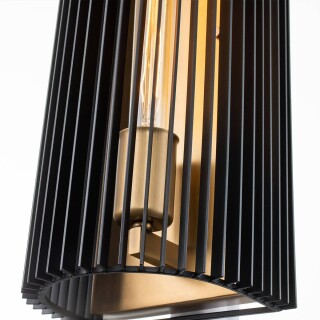qn-linara1-bk_detail2