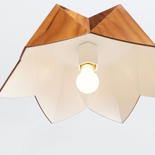 qn-physalis-p-m-teak_detail2.jpg