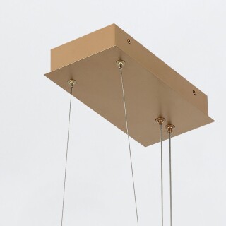 qn-seraph-lp-l-bg_detail2