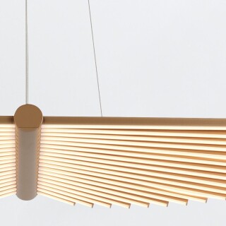 qn-seraph-lp-l-bg_detail3