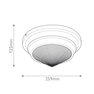 qn-willard-f-s-ubz-pg_size