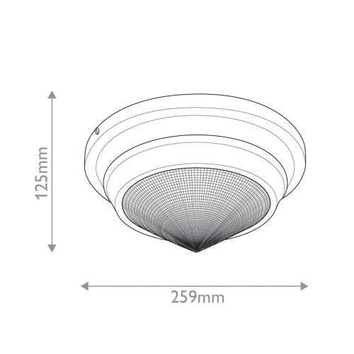 qn-willard-f-s-vbs-pg_size.jpg