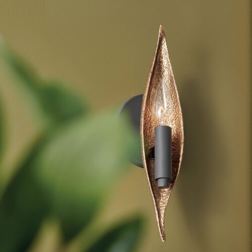 qn-willow1-cbk_insitu2.jpg