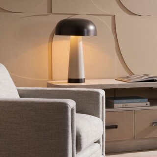 qna-williams-tl_insitu2