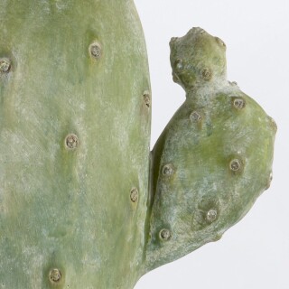 qnc-cactus-tl_detail3