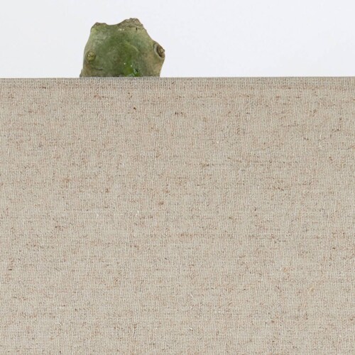 qnc-cactus-tl_detail4.jpg