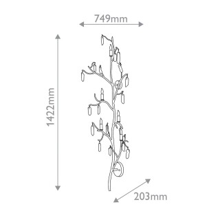 qnc-forest-5wb-wlg_size
