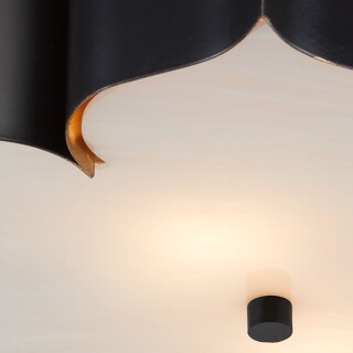 qnc-grand-lotus-f-l-bcgl_detail1