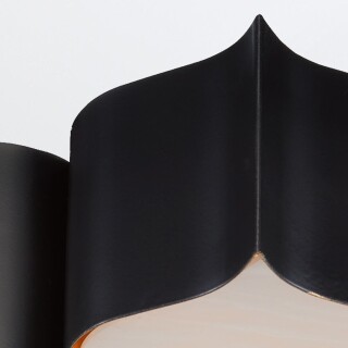 qnc-grand-lotus-f-l-bcgl_detail2