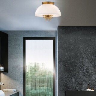 staring-3p-dg-opal_insitu3