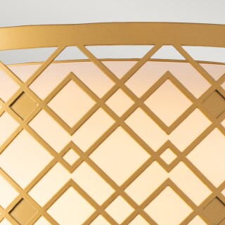 ziggy-f-m-lg_detail4