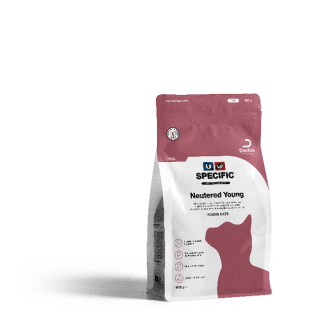 fnd-400-g-2018-650x72019