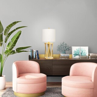 apollo-tl-wht_insitu1