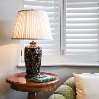 blackbirds-tl_insitu1