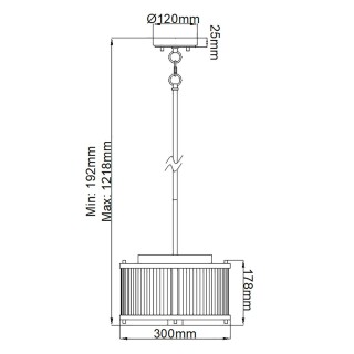dl-corona-2p-wpn_size_1