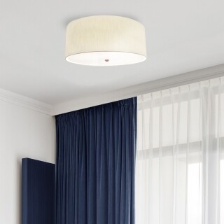 dl-fletcher18-3lt-iv-ab_insitu1