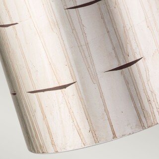 fb-fragment-s-ps_detail2