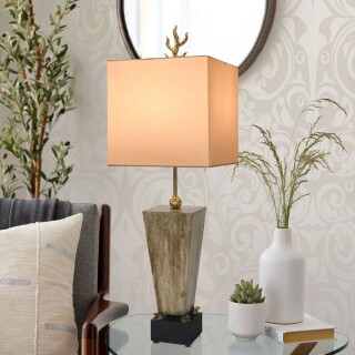 fb-grenouille-tl_insitu2